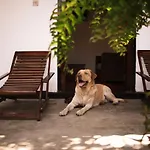 Kandy City House