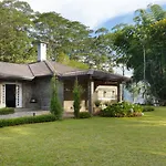The Lavender House By Reveal