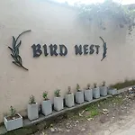 Bird Nest - Hanthana