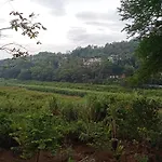 Mahaweli Shades
