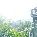 Bird Nest - Hanthana