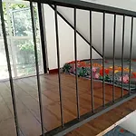 Bird Nest - Hanthana