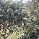 Everdew Kandy Rooms
