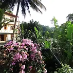 Kandy Mountain Cottage