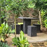Lazy Bear Best Hostel In Kandy