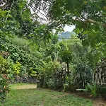 Lazy Bear Best Hostel In Kandy