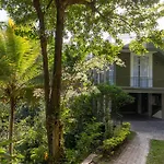 Greenwood Edge Kandy