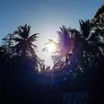 Lush Breeze Mount View
