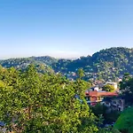 Lush Breeze Mount View