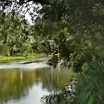 River Ivy\'S