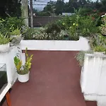 Golden Shower Inn