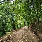 Udawatta Kele