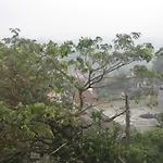 Mount View 11