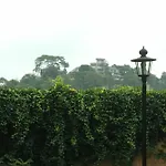 Homestay Garden Rest