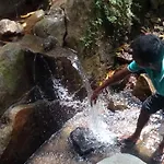 Chaya Hills Kandy