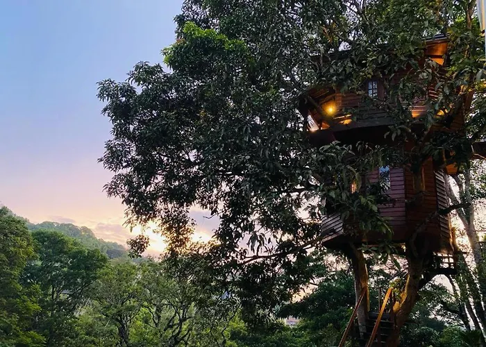 Kandy Tree House
