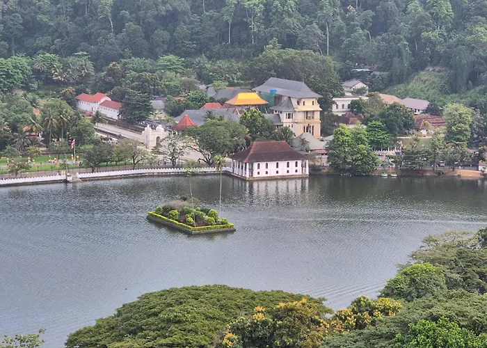 Lazy Bear Best Hostel In Kandy