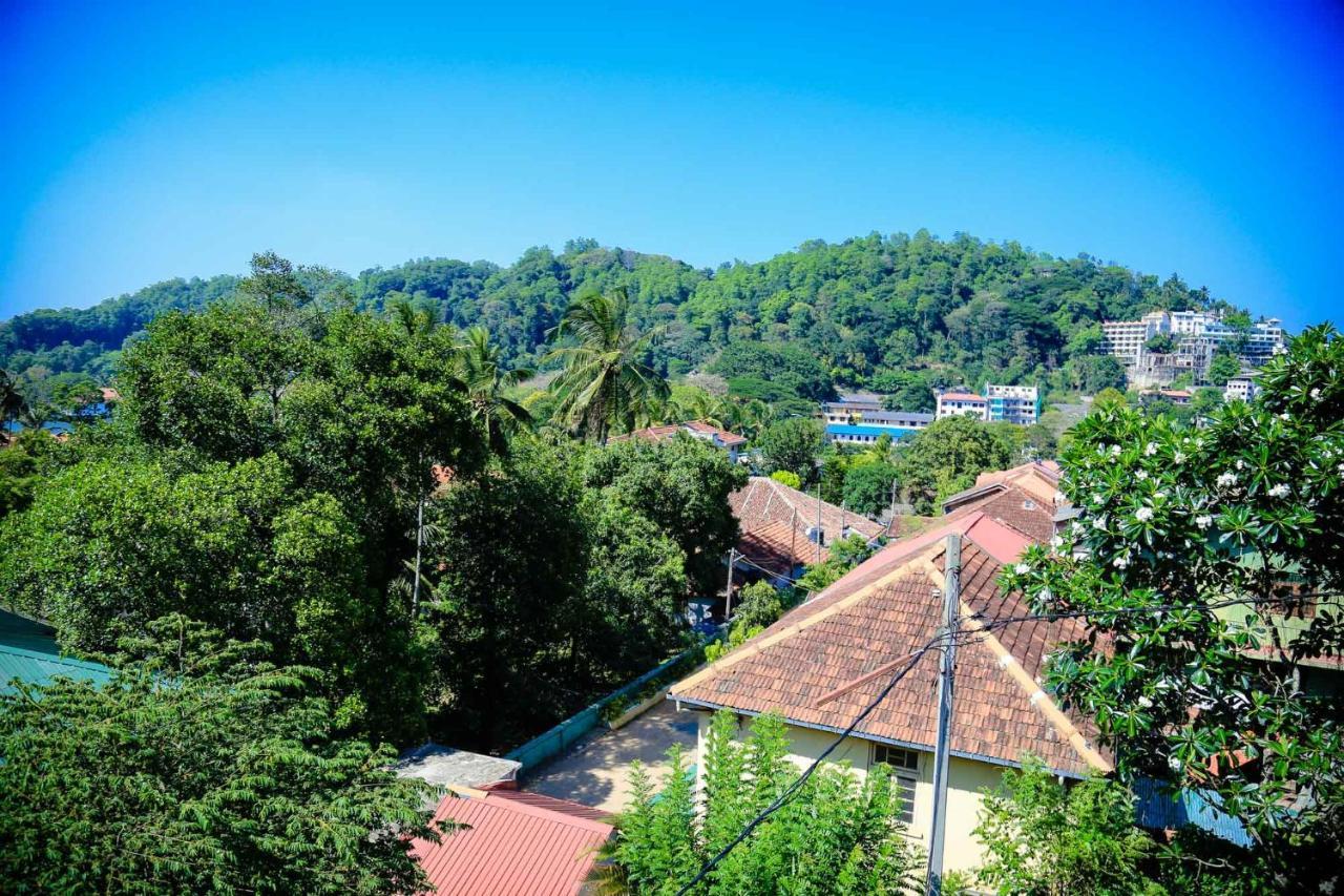 Freedom Lodge, Homestay *