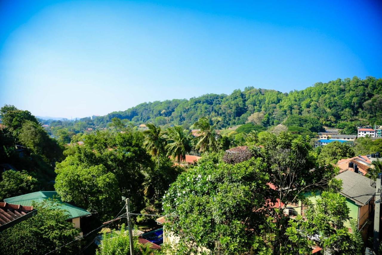 Freedom Lodge, Homestay