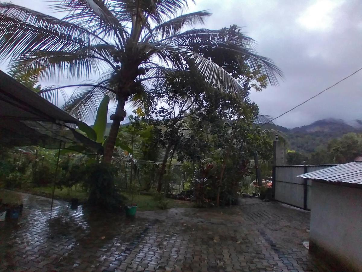 Riverview Guest Homestay *