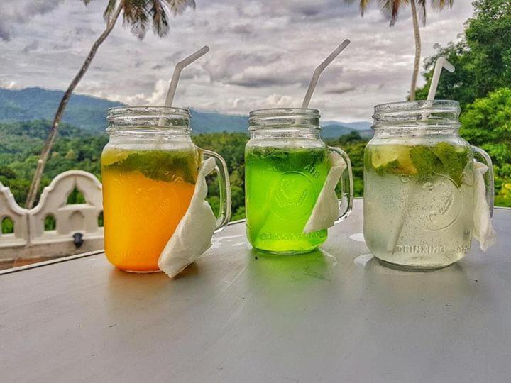 Villa Galkanda Walawwa Kandy