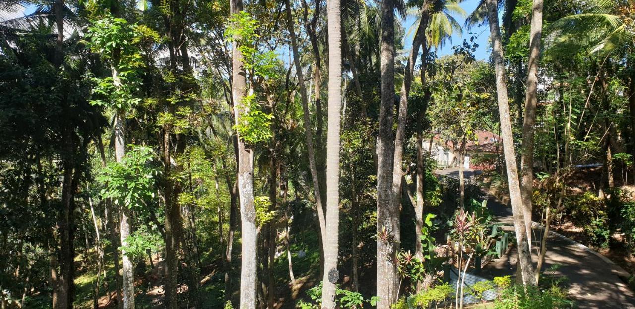 Windy Ridge 3* Kandy