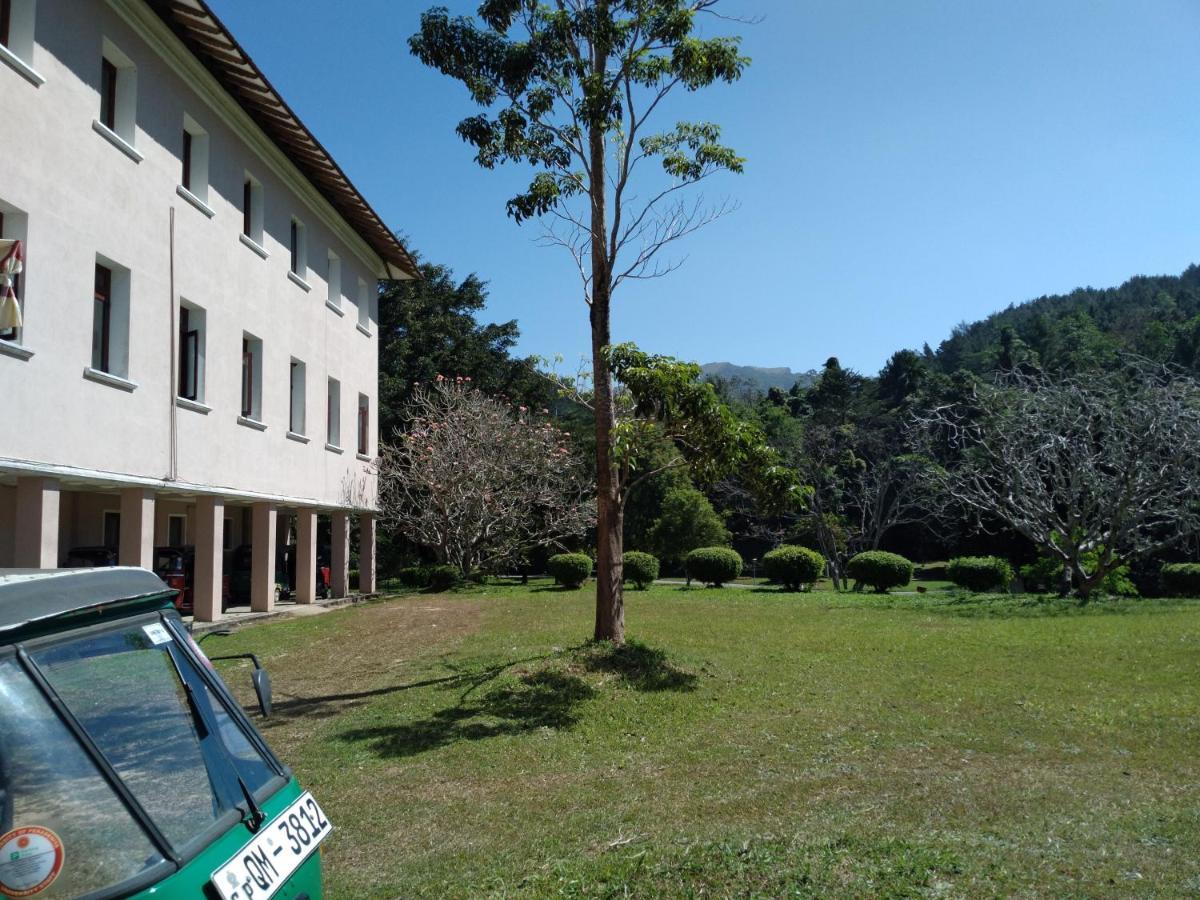 Homestay Riverview Guest