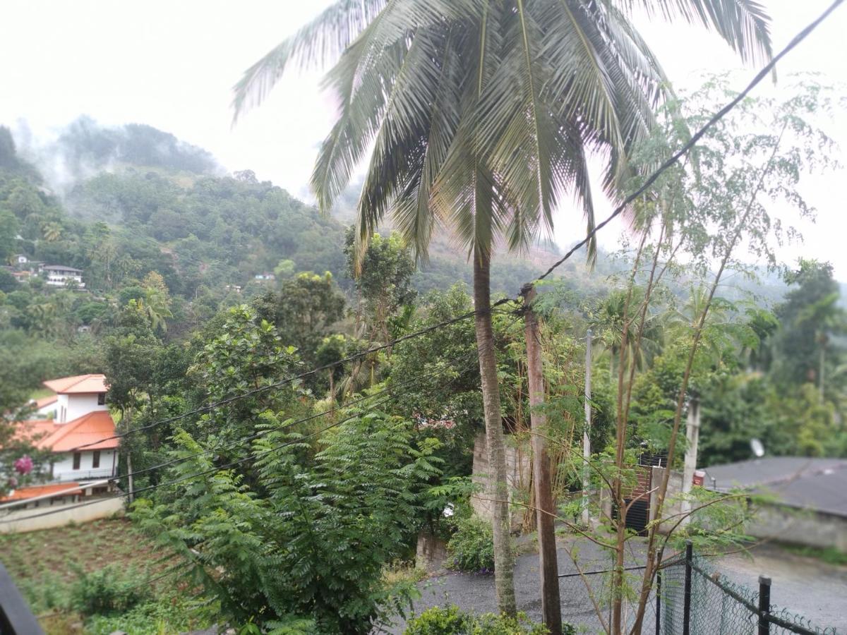 Riverview Guest Homestay *