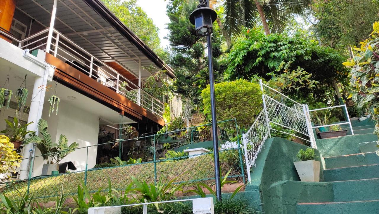 Homestay Marvel Hills *