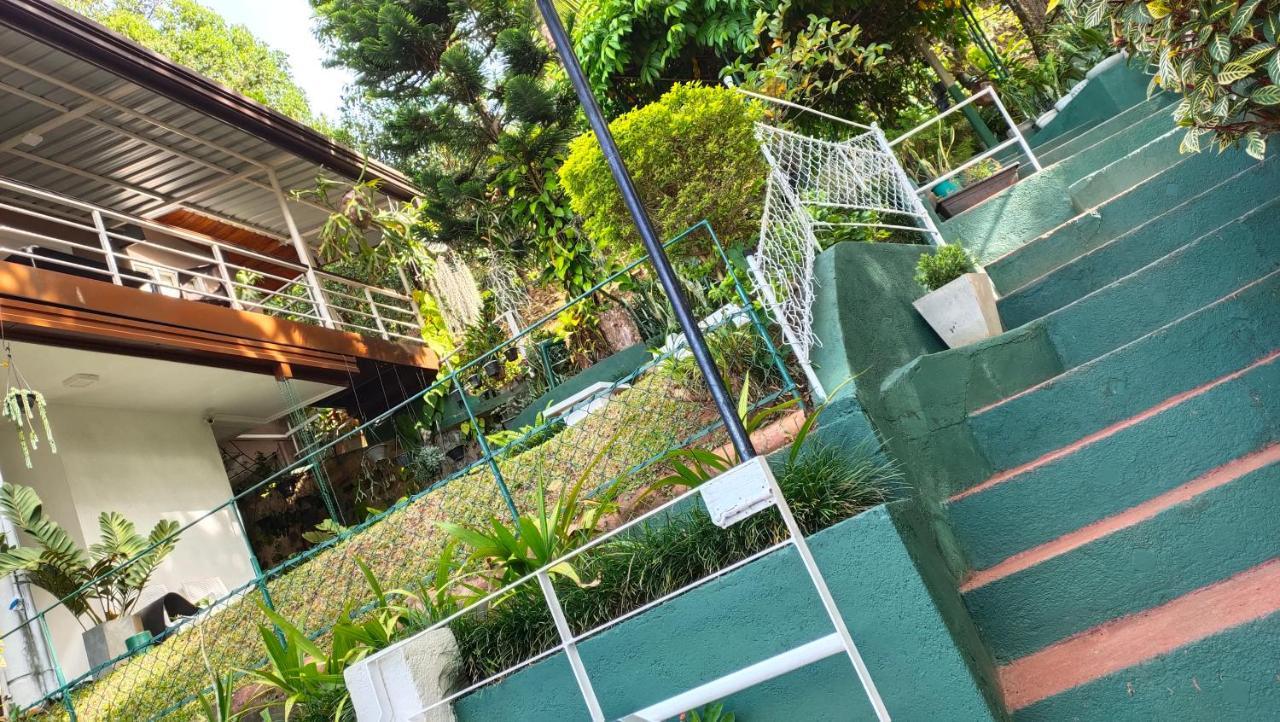 Marvel Hills Homestay