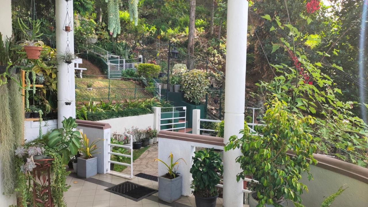 Marvel Hills Homestay