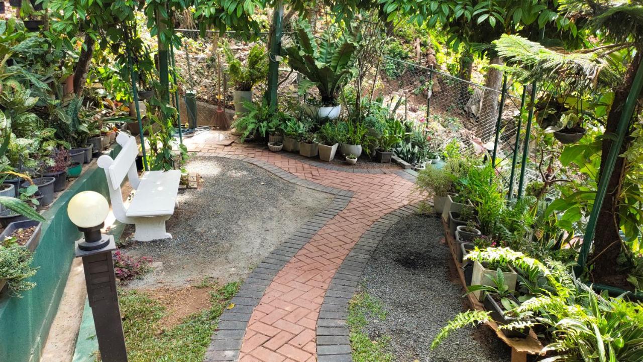 Marvel Hills Homestay *