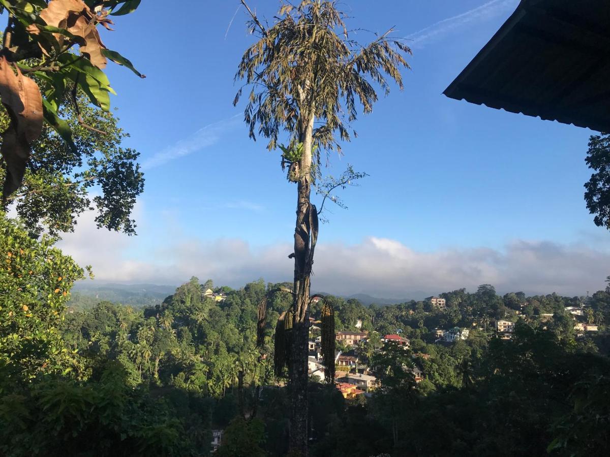 Hotel Amigo's 3*