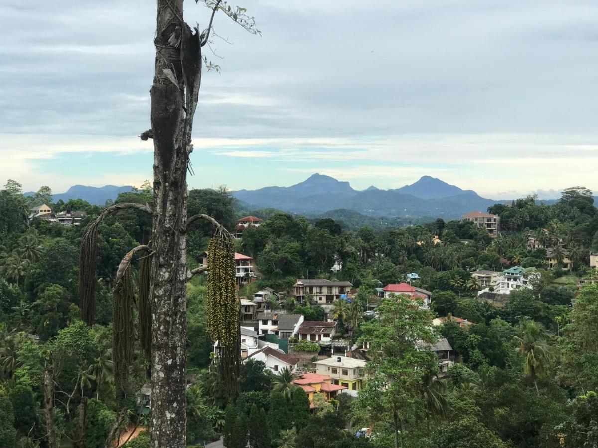 Hotel Amigo's 3*