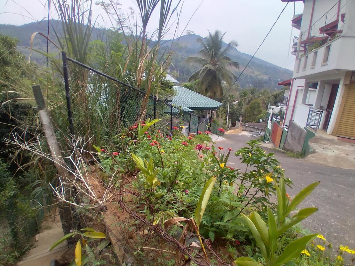 Homestay Riverview Guest