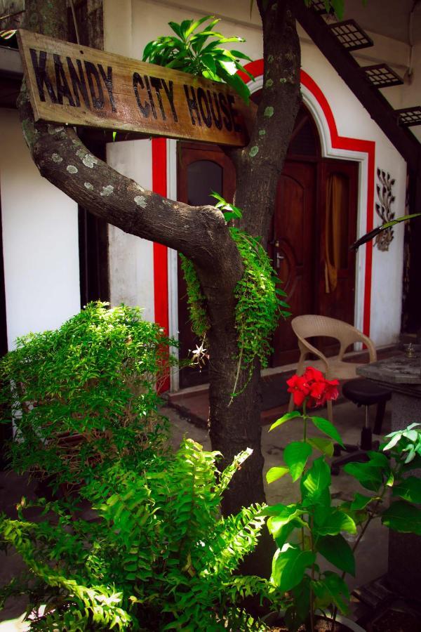 Bed & Breakfast House