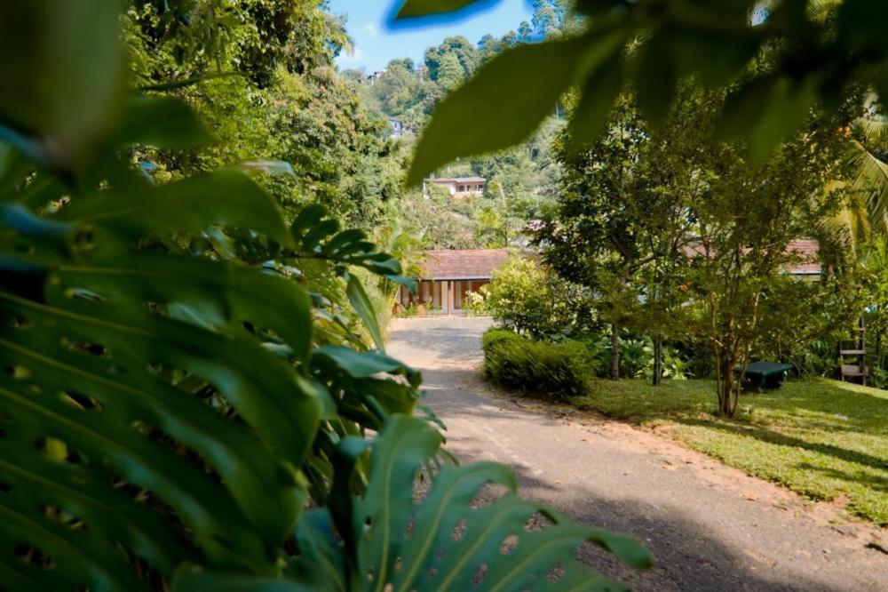 Guest house Clove Garden Kandy