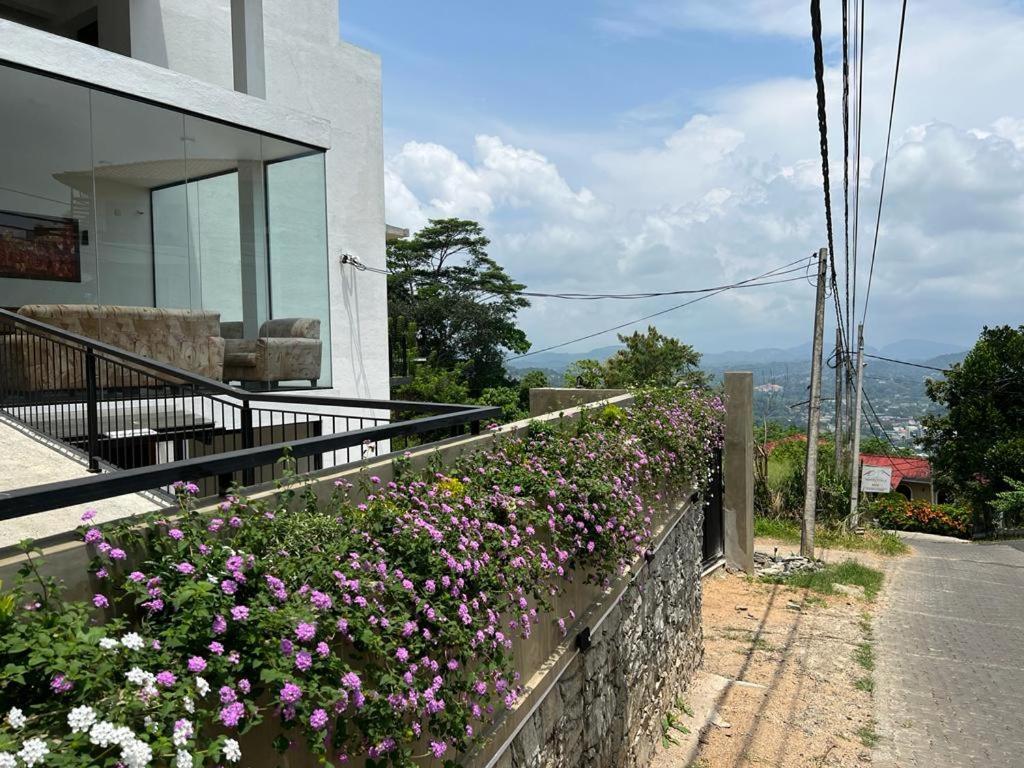 Kandyan View 