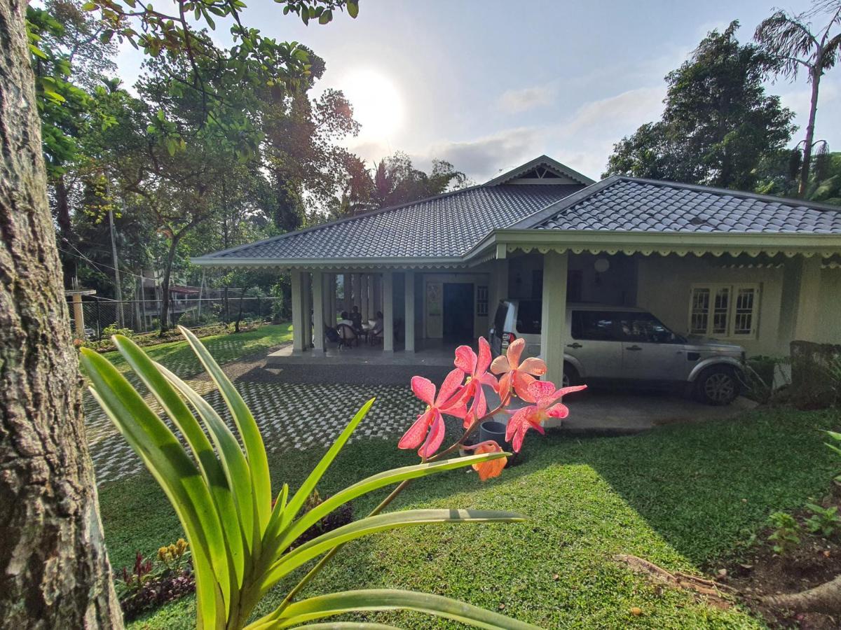 Homestay Lewella House