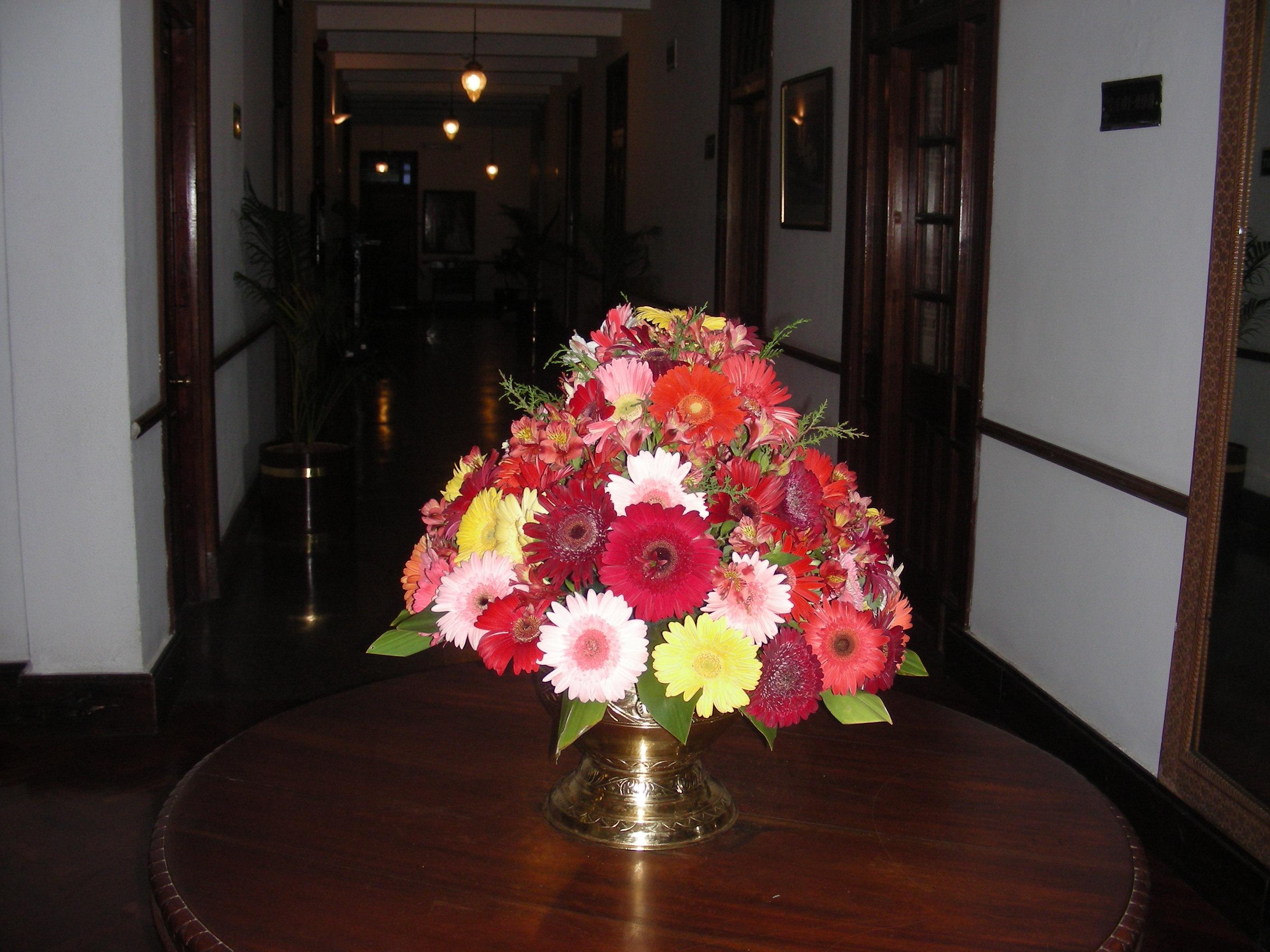 Suisse Kandy