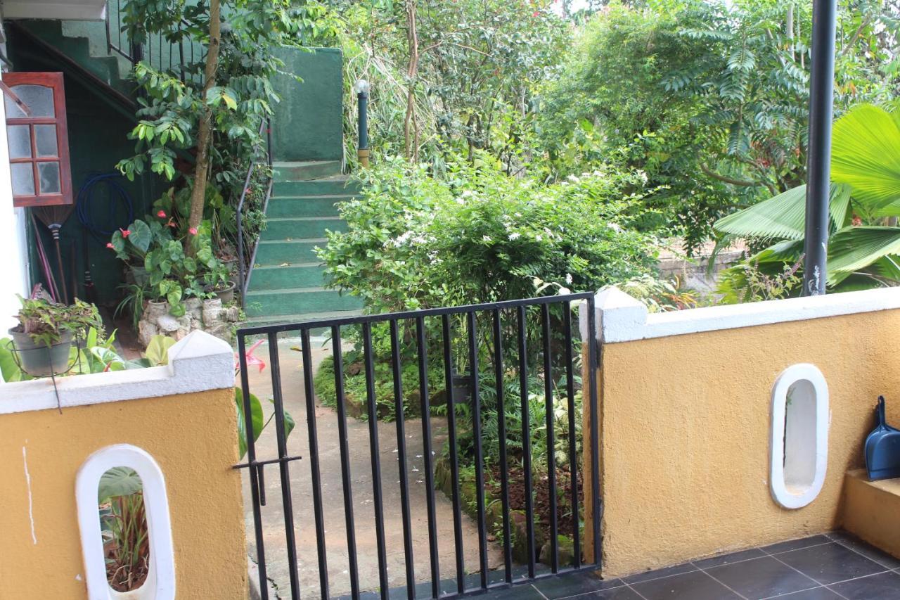 Gerard Bed & Breakfast 3*