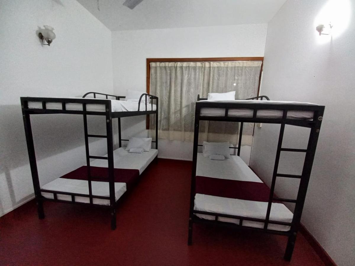 Lazy Bear In Hostel Kandy