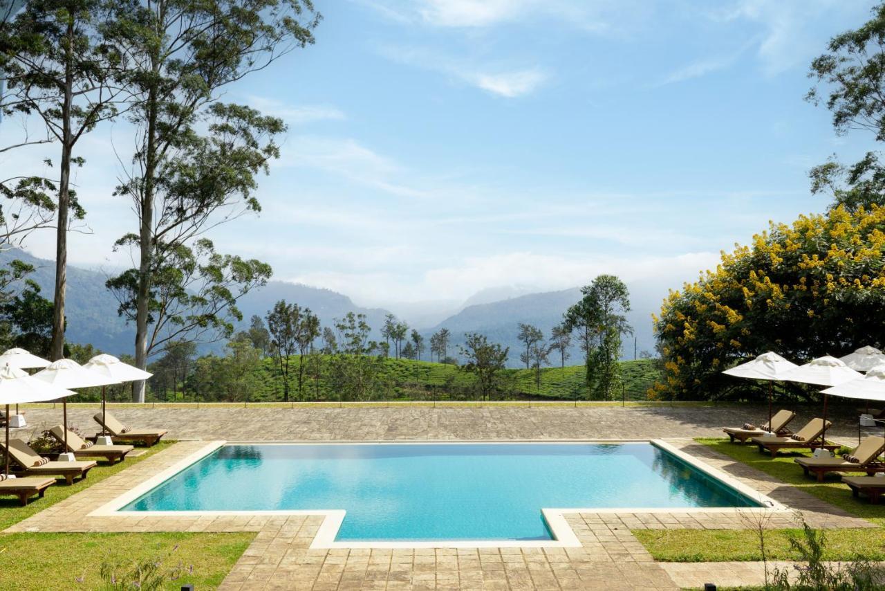 The Lavender House By Reveal Hotel 5*
