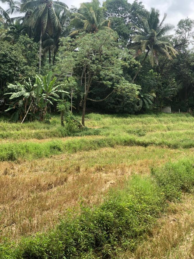 Guest house Summer Breeze Kandy
