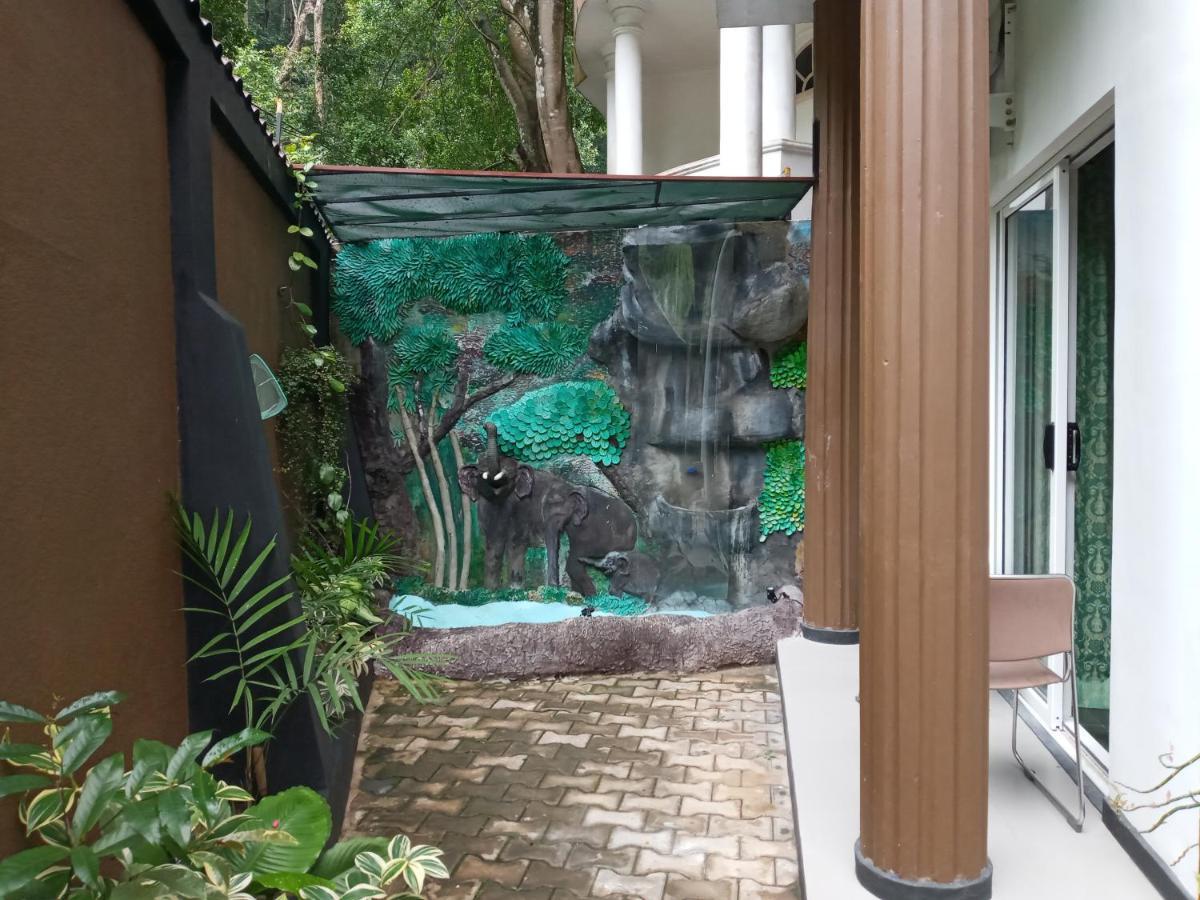 Forest Kandy