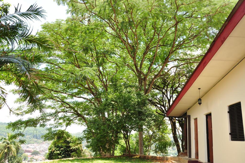 Bed & Breakfast The Buena Vista