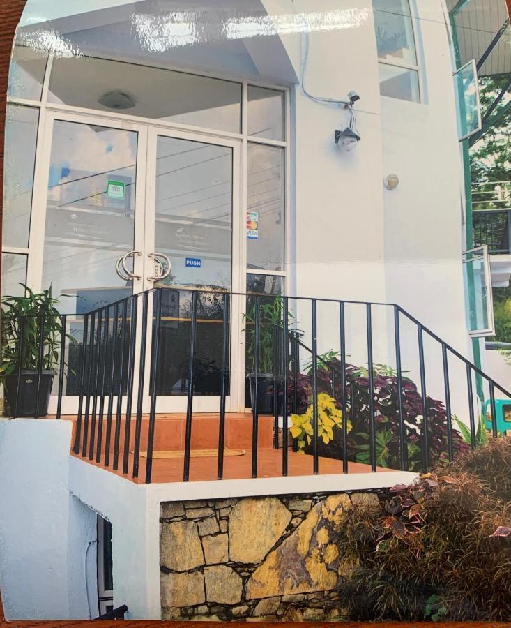 Mountain View Bed & Breakfast