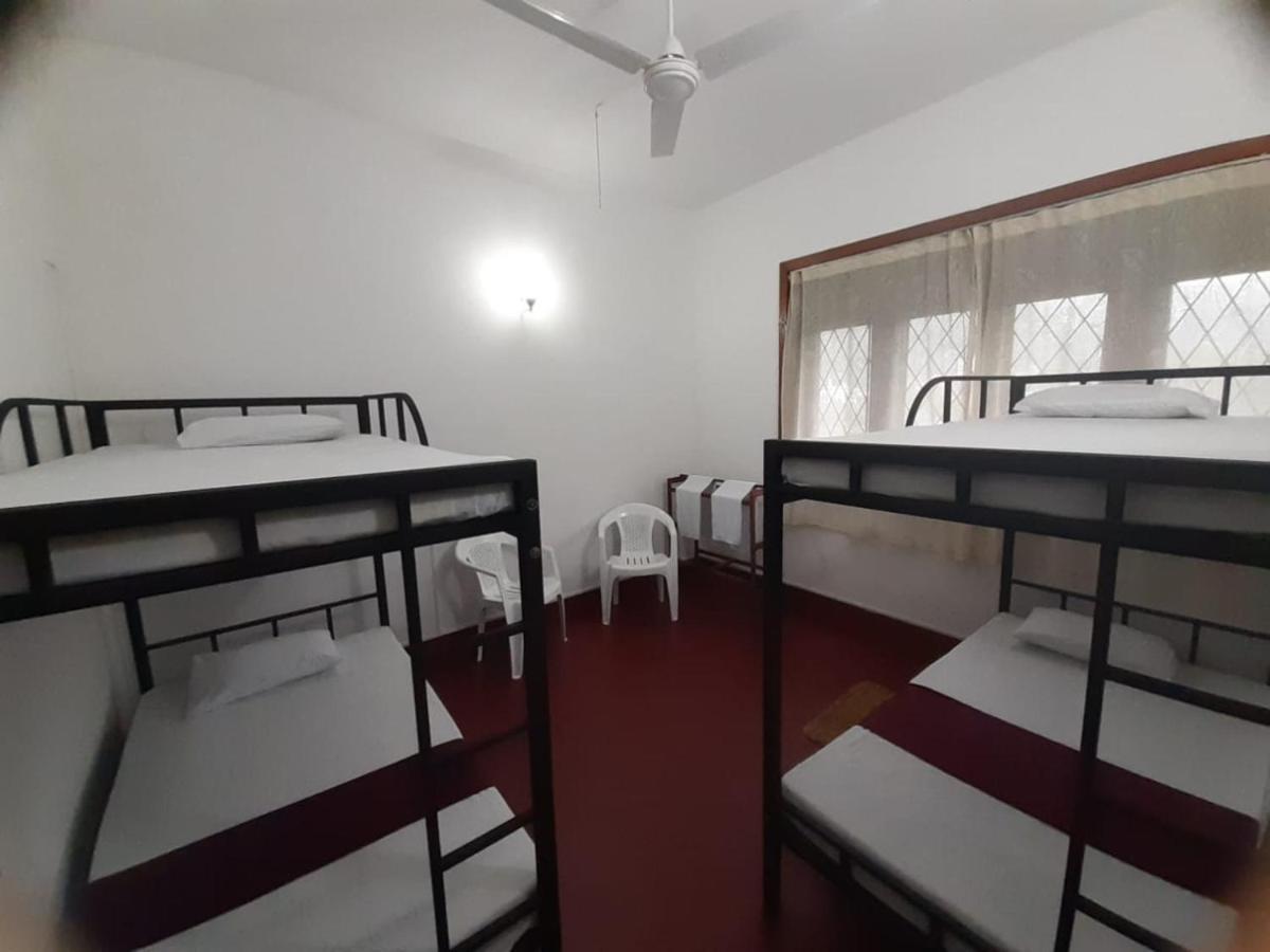 Hostel Lazy Bear In Kandy