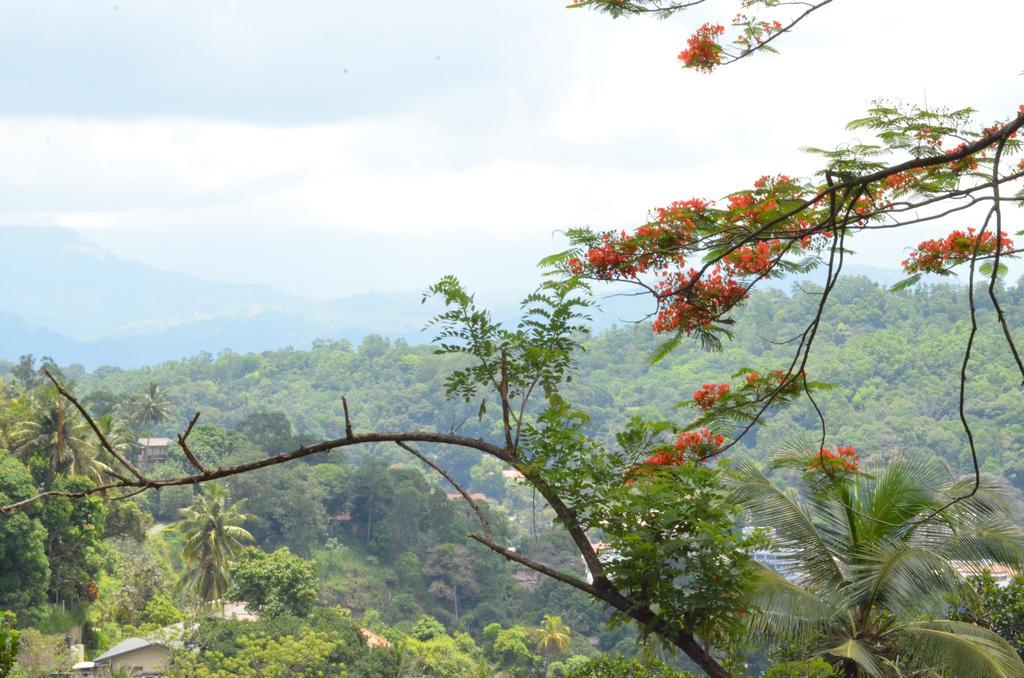 The Buena Vista Bed & Breakfast Kandy
