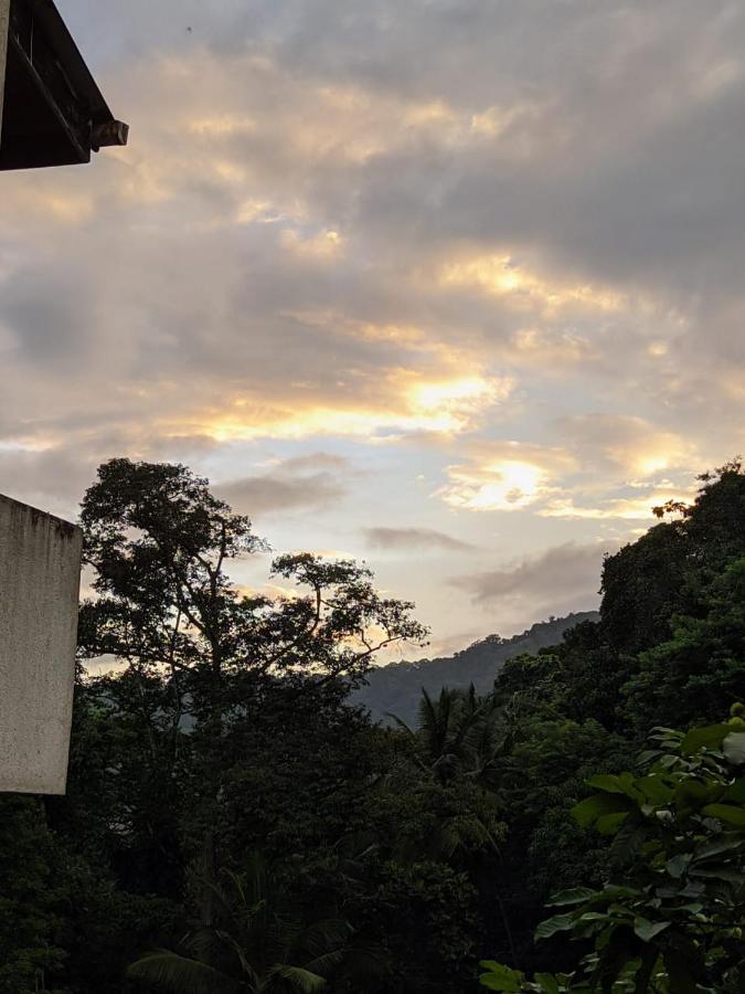 Canopy * Kandy